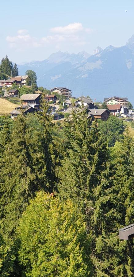 Résidence   Les Crêtes  Torgon Exterior foto